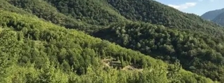 Արզական-Աղվերան լեռնային նստավայրի հարևանությամբ գտնվող անտառում հայտնաբերել է ՌԴ 22-ամյա քաղաքացու մարմինը