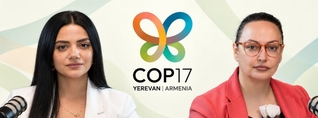 COP17-ը կավարտվի,  պայքարը կտեղափոխվի կոշտ դաշտ. Նարե Արամյան