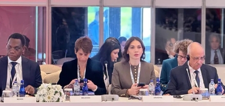 Սրբուհի Գալյանը Ստամբուլում ներկայացրել է Հայաստանի արդարադատության ոլորտի բարեփոխումները