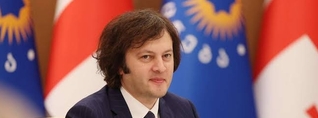 Կոբախիձեն ներկայացրել է Վրաստանի անտառների պահպանման և վերականգնման ծրագրերը