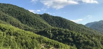 Արզական-Աղվերան լեռնային նստավայրի հարևանությամբ գտնվող անտառում հայտնաբերվել է ՌԴ 22-ամյա քաղաքացու մարմինը