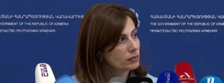 Անի Ավետիսյանի բուժման ծախսերը հոգում է պետությունը. Ավանեսյան