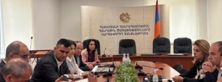 Քննարկվել է «Firebird AI»-ի տվյալների կենտրոնը էլեկտրաէներգետիկ համակարգին միացնելու հարցը