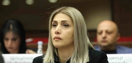 Պետք է վերջ տալ կալանքների այս շղթային․ Էլինար Վարդանյան