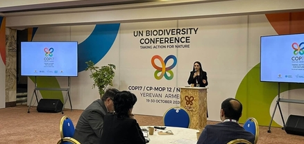 COP17-ում քննարկվել են բնապահպանների իրավունքների պաշտպանության մարտահրավերները