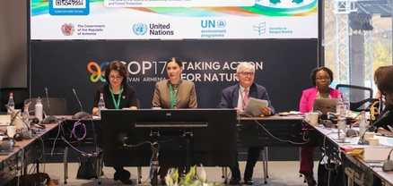 Սրբուհի Գալյանը COP17-ի շրջանակում անդրադարձել է բնության պահպանության գործում դատական իշխանության դերին ու ոլորտի մարտահրավերներին