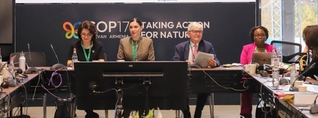 Սրբուհի Գալյանը COP17-ի շրջանակում անդրադարձել է բնության պահպանության գործում դատական իշխանության դերին ու ոլորտի մարտահրավերներին