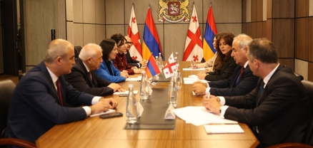 Ժաննա Անդրեասյանը և Վրաստանի մշակույթի նախարարը քննարկել են ժամանակակից արվեստի և կինոյի ոլորտներում համագործակցությունը