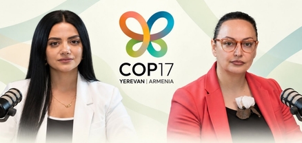 COP17-ը կավարտվի,  պայքարը կտեղափոխվի կոշտ դաշտ. Նարե Արամյան
