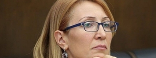 Ադրբեջանը չի պատրաստվում իրականացնել սահմանազատում. Մանե Թանդիլյան