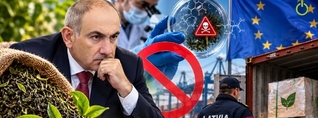 Լատվիայում էլ խայտառակ եղանք. ով է թեյի սկանդալի պատասխանատուն