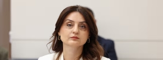 ԱԺ հանձնաժողովը հավանություն է տվել ընտանեկան բռնության դեմ պայքարի օրենսդրական փաթեթին