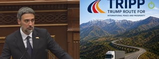 Իշխանությունը հայտնվել է ծուղակում. ԹՐԻՓՓ-ը վավերացված է, խաղաղության համաձայնագիրը՝ ոչ. Վարդևանյան
