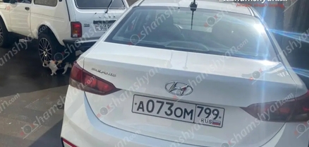 2 պարեկների ուղղությամբ կրակոցներ արձակած և վիրավորում հասցրած անձինք կալանավորվել են
