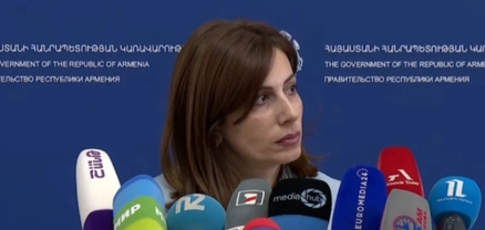 Անի Ավետիսյանի բուժման ծախսերը հոգում է պետությունը. Ավանեսյան