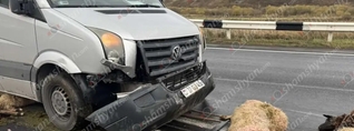 Սևանում «Volkswagen»-ը վրաերթի է ենթարկել 18 ոչխարի. բոլորը սատկել են