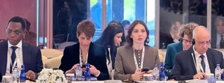 Սրբուհի Գալյանը Ստամբուլում ներկայացրել է Հայաստանի արդարադատության ոլորտի բարեփոխումները